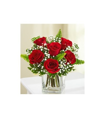 6 Red Roses w/vase 6 Red Roses w/vase