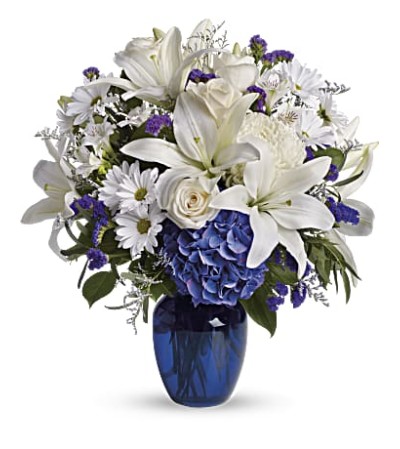 White & Blue Beauty White & Blue Beauty