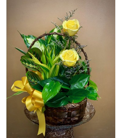 Dish Garden Basket with Yellow Roses Dish Garden Basket with Yellow Roses