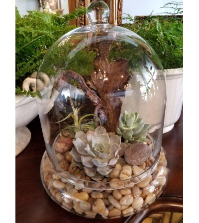 LARGE CLOCHE LARGE CLOCHE