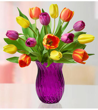 Mother's Radiant Tulips Mother's Radiant Tulips