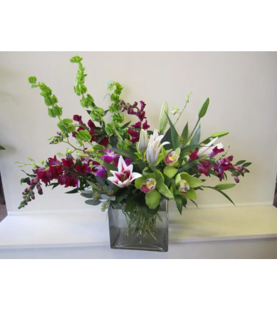 Orchids & Lilys Orchids & Lilys