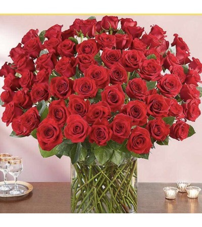 Premium 100 Long Stems Roses Premium 100 Long Stems Roses