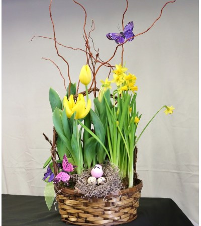 Spring in Bloom Spring in Bloom