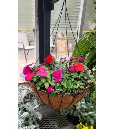 Hanging Basket for Shade Hanging Basket for Shade