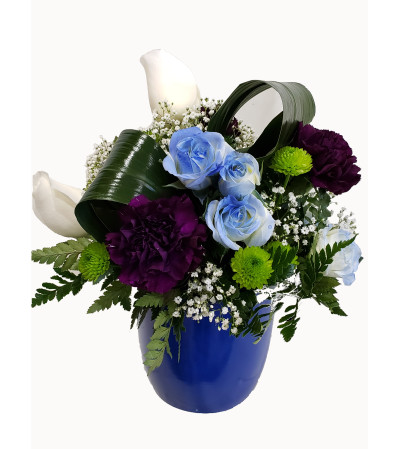 Blue Rose Rapture Blue Rose Rapture