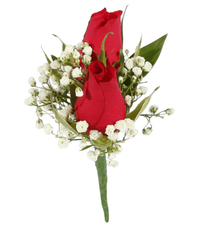 Double red rose Double red rose