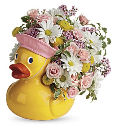 It's A Girl Duck It's A Girl Duck