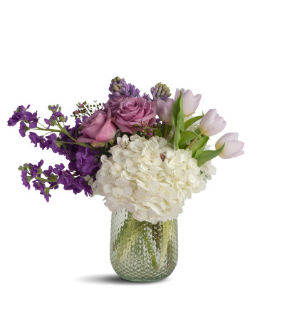 Picture Purple Picture Purple