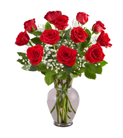 1 Dozen Deluxe Red 1 Dozen Deluxe Red