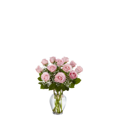 1 Dozen Deluxe Pink Roses 1 Dozen Deluxe Pink Roses