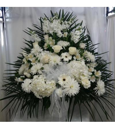 white bloosoms white bloosoms