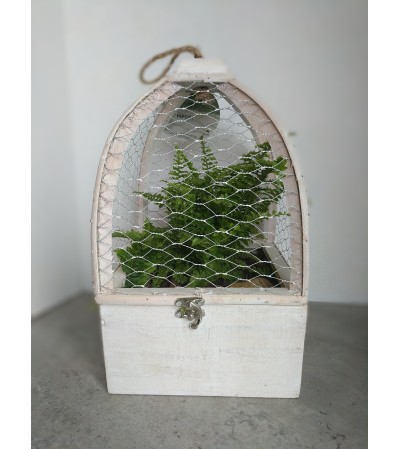 Fern Planter Fern Planter