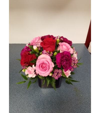 Beautiful Roses for any Occasion Beautiful Roses for any Occasion