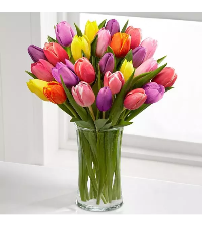 Rush Color Of Tulips Rush Color Of Tulips