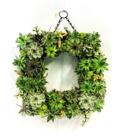 Hanging succulent wreath garden Hanging succulent wreath garden