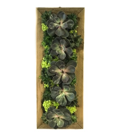 Hanging Succulent Garden 8x21 Hanging Succulent Garden 8x21