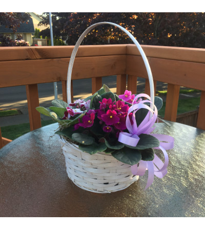 Violet Basket Violet Basket