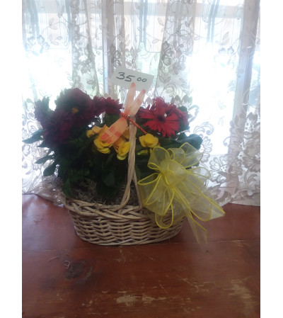 Basket of Blooming Plants Basket of Blooming Plants