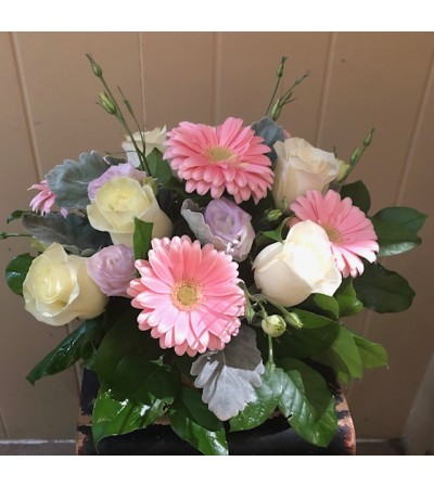 Fresh Flourish Fresh Flourish
