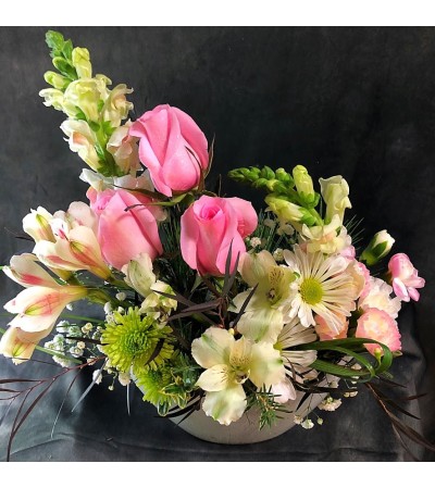 Gladstone Floral Gladstone Floral