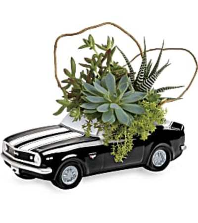 Chevy Camaro Plant Garden Chevy Camaro Plant Garden