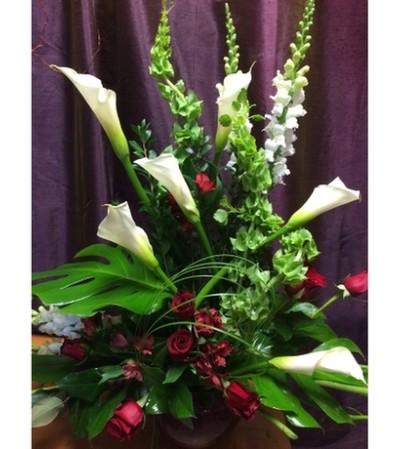 Floral Splendour Floral Splendour