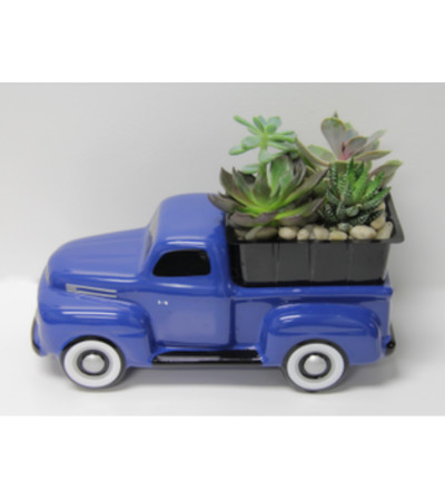 65 Ford Truck Succulent Bouquet 65 Ford Truck Succulent Bouquet