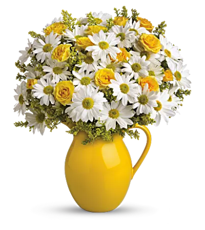 Sunny Day Pitcher of Daisies Bouquet Sunny Day Pitcher of Daisies Bouquet