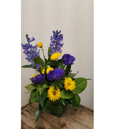 Smart Bold Spring Smart Bold Spring