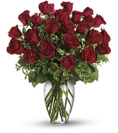 Super Quality Red Roses Super Quality Red Roses