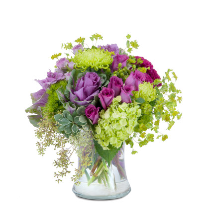 Magenta Mystery by Country Gardens Magenta Mystery by Country Gardens