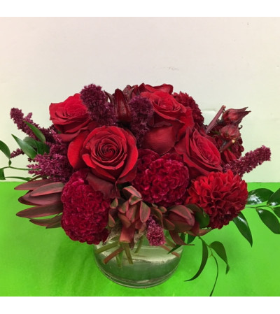 Red Rose Bomb Red Rose Bomb