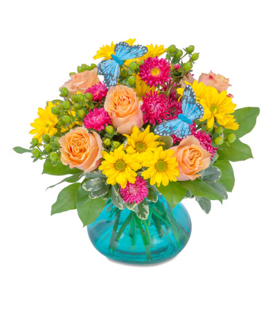 Flutter Days by Country Gardens Flutter Days by Country Gardens