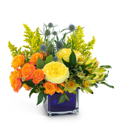 Bloom with Brilliance by Country Gardens Bloom with Brilliance by Country Gardens