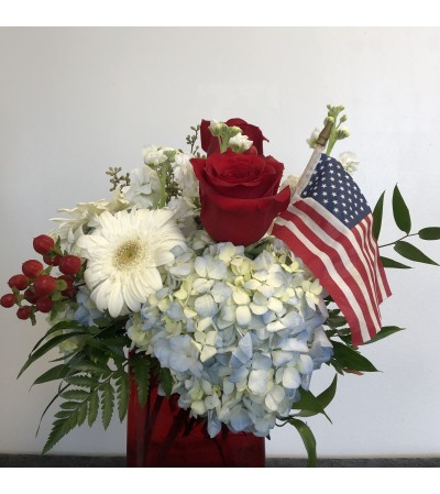 Indepence Day Indepence Day
