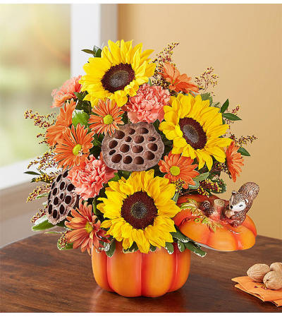 PUMPKINS & POSIES PUMPKINS & POSIES