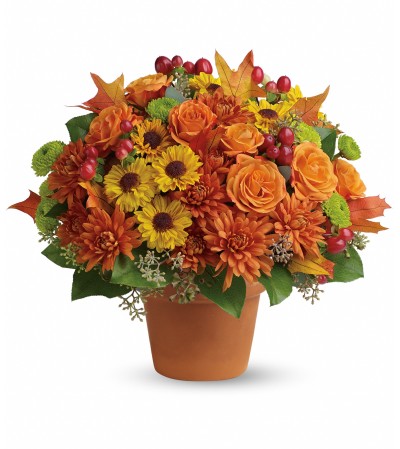 Sweet Autumn Pot Sweet Autumn Pot