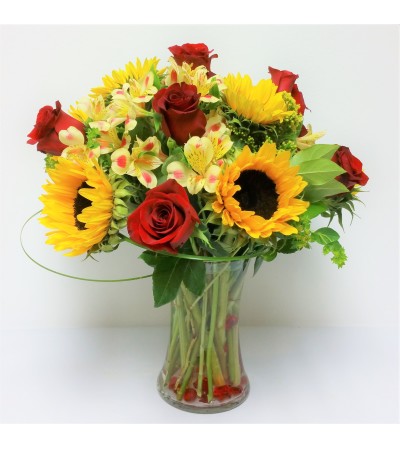 Sunny Rose Delight Sunny Rose Delight