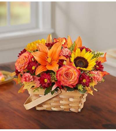 Fields Of Europe Fall Basket Fields Of Europe Fall Basket