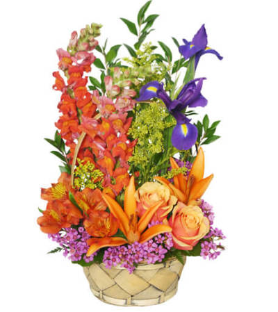 Multi-Color Memories Flower Arrangement - FSN Multi-Color Memories Flower Arrangement - FSN