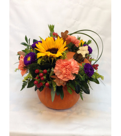 Fall Pumpkin Design Fall Pumpkin Design