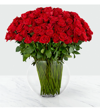 Sensational Luxury Rose Sensational Luxury Rose