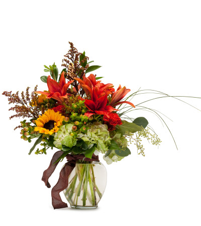 Autumn Breeze by Country Gardens Autumn Breeze by Country Gardens