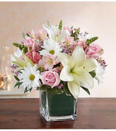 Cube Arrangement-Pink & White Cube Arrangement-Pink & White