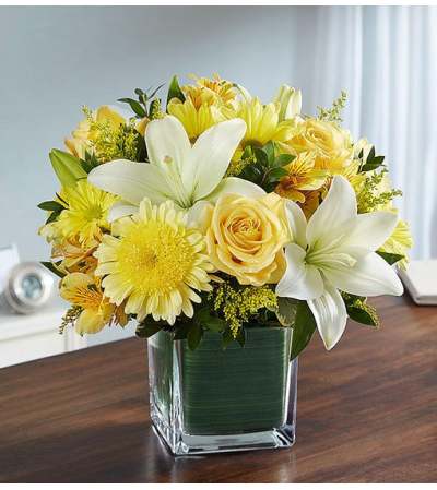 Cube Arrangement-Yellow & White Cube Arrangement-Yellow & White