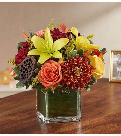 Cube Arrangement-Autumn Cube Arrangement-Autumn