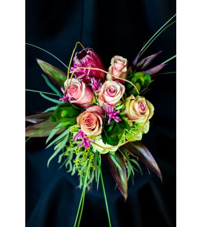 Protea in Pink Protea in Pink