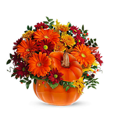 Warm Wishes Pumpkin Warm Wishes Pumpkin