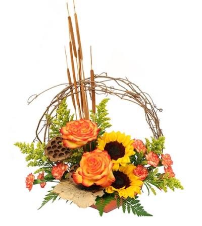 November's Crown November's Crown